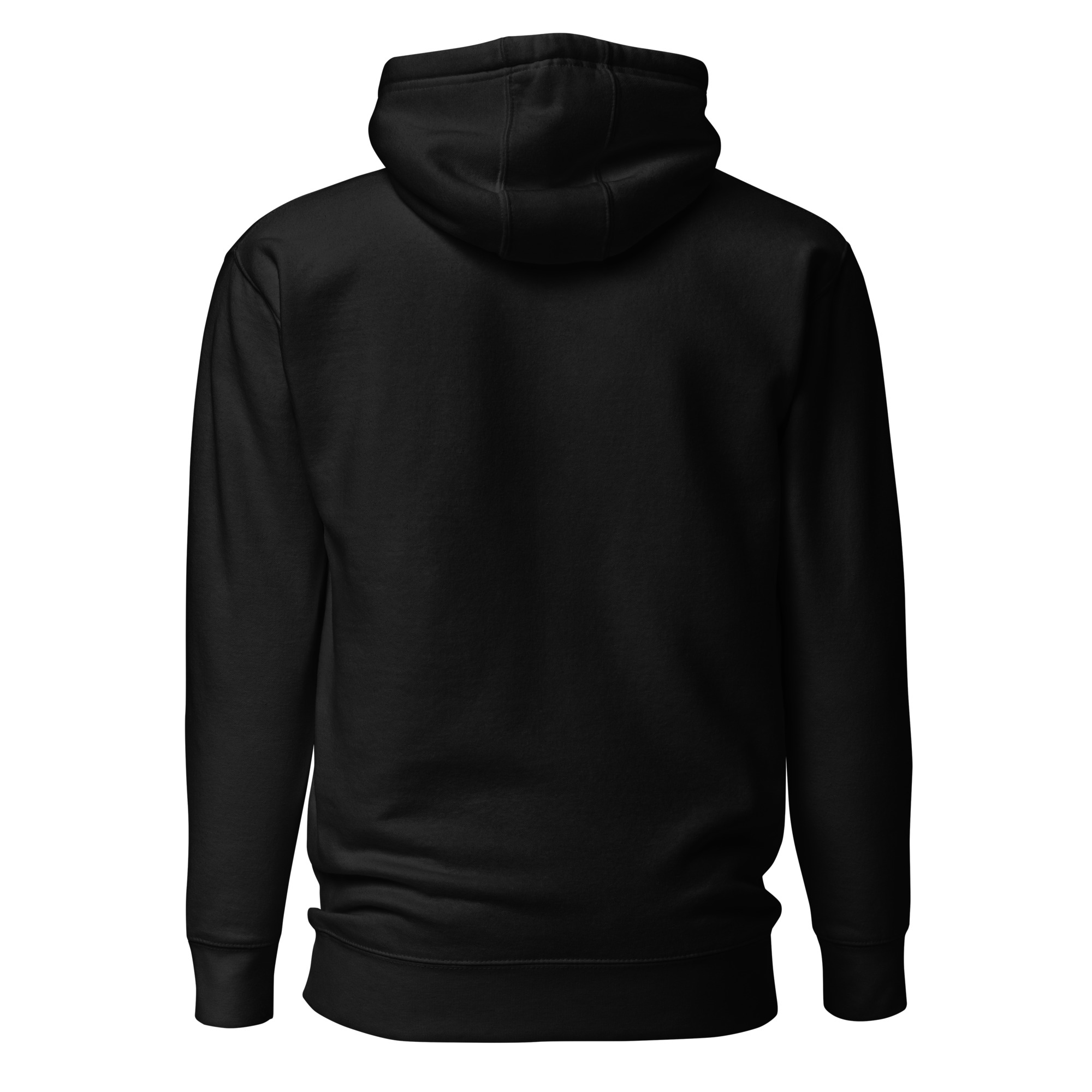 unisex-premium-hoodie-black-back-6634e740d7fef.jpg